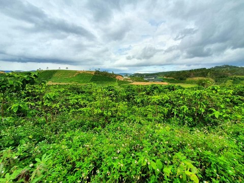 Đất bán tại thôn 5,xã Đà Loan,huyện Đức...