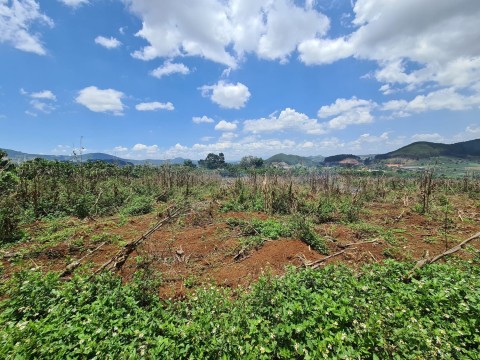 ban-dat-nen-me-linh-gia-re