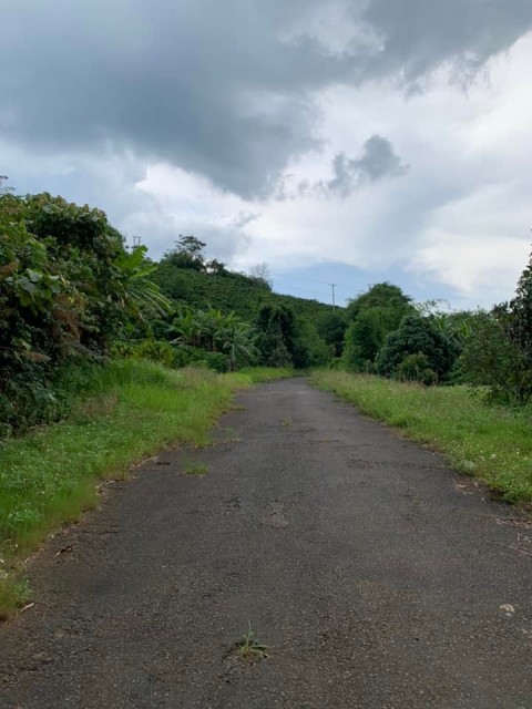 Cần bán 1.6hec đất thôn 3 xã lộc bảo...