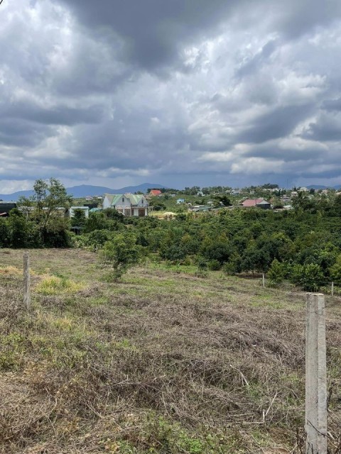 Cần bán mảnh đất tại xã Liên Đầm, Huyện...