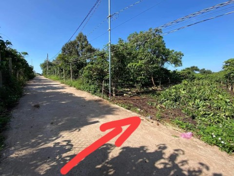 Đất nền Nghỉ dưỡng thuộc Đức Trọng chuẩn...