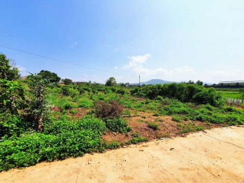 Kẹt tiền trong ngân hàng nên ra di lô...