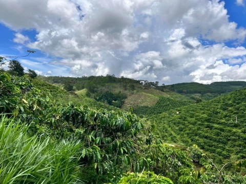 Kẹt tiền bán nhanh lô đất làm vườn Xã...