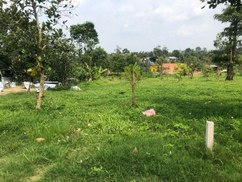 Chủ cần bán 500m2 đất Lộc Nam, xã Bảo...