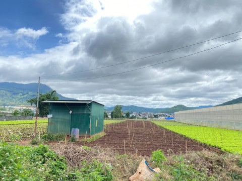 Cần bán đất sào đẹp cách QL 20 chỉ 300m...