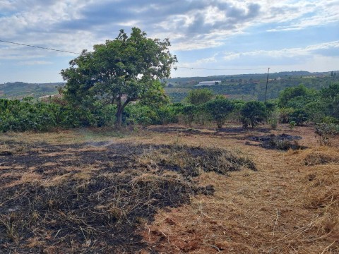 Đất đẹp lưng tựa đồi thông view toàn...