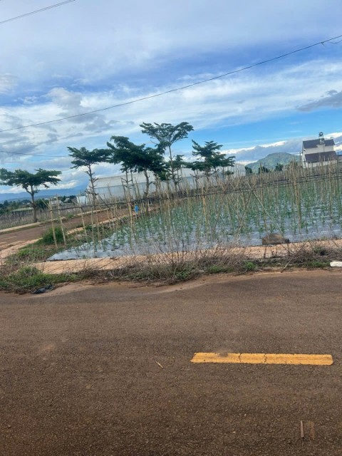 Chính chủ cần bán nhanh lô góc hai mặt...