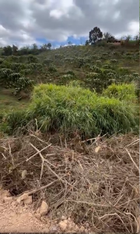 6 sào đất giá rẻ chỉ 2,3 tỷ tại Nam Hà...