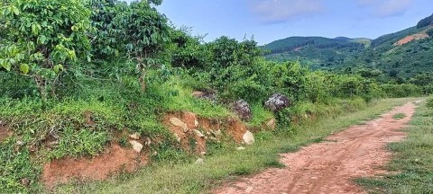 Cần bán đất diện tích 2.085m2 tại khu...