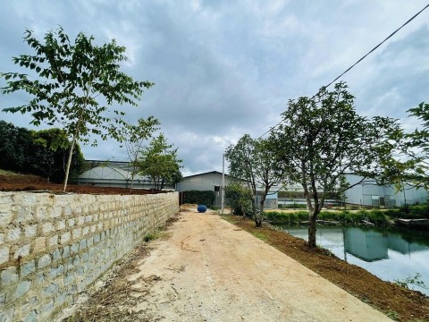 Cần bán đất đẹp Xã trạm hành Đà Lạt Dt...