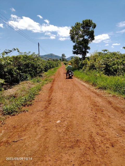 Gia đình cần tiền trả nợ bán nhanh...