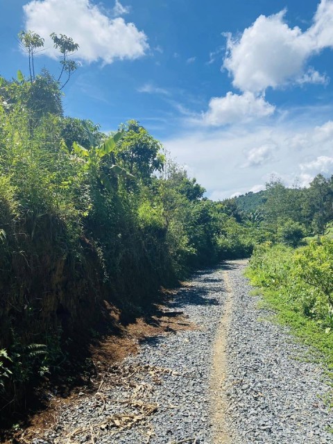 Cần tiền bán lô đất tại thôn 1 xã Tân...