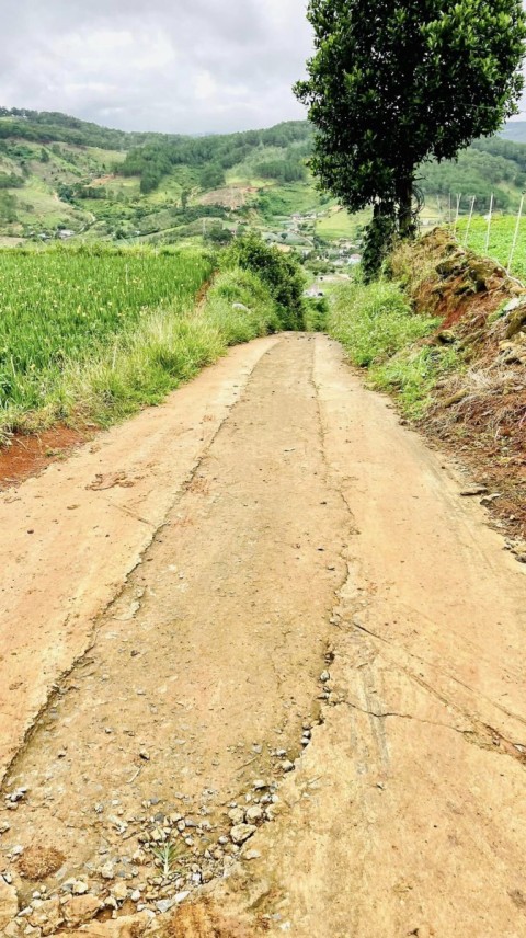 Bán đất LN, xã Hiệp An - Đức Trọng (trên...