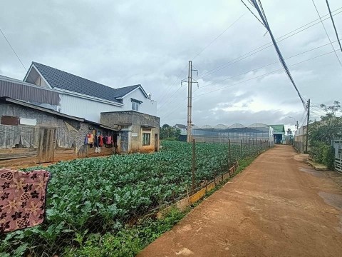 Cần bán lô đất đẹp tại xuân thọ ,tp đà...