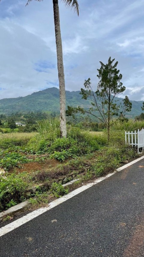 Bán 392m2 đất tại Phường Lộc Sơn, Tp Bảo...