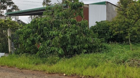 Cần ra nhanh lô đất 460m tại Xã Lộc An,...