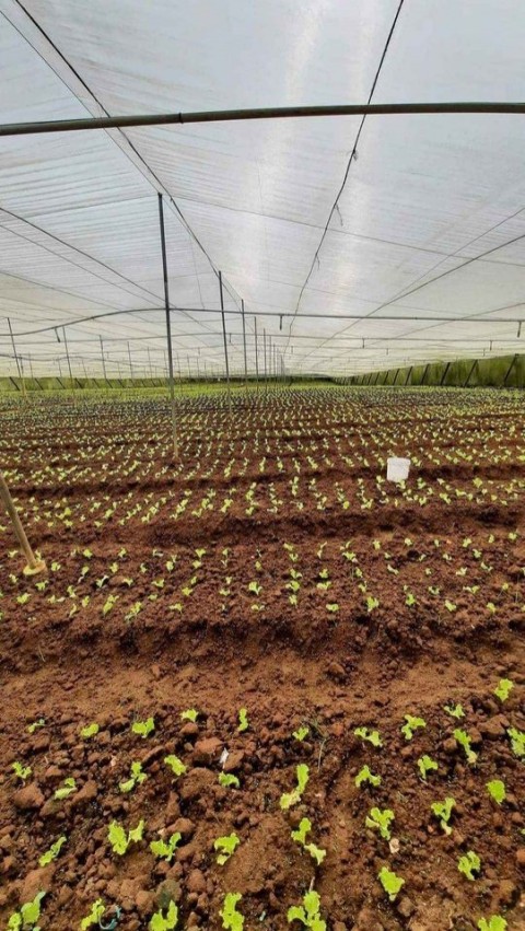 Bán lô đất diện tích 4152m tọa lạc tại...