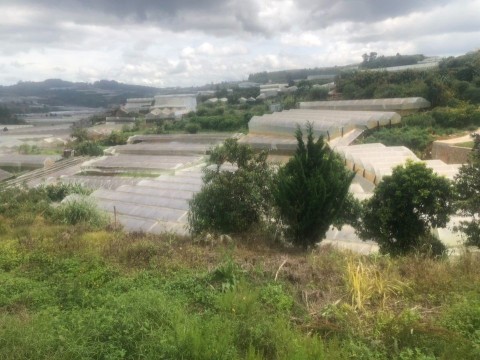 CẦN BÁN ĐẤT HẺM Ô TÔ ĐƯỜNG VẠN THÀNH -...