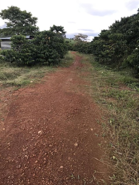 Bán 7 sào đất vườn cfe Xã Lộc Phú, Bảo...