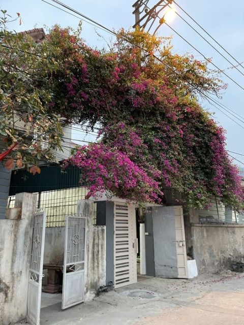 Cần bán lô đất có sẵn 400m thổ cư tại...