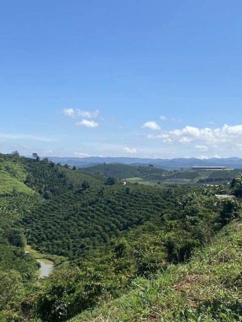 Đất chính chủ 1,1 hecta Đất Cà phê Xã...