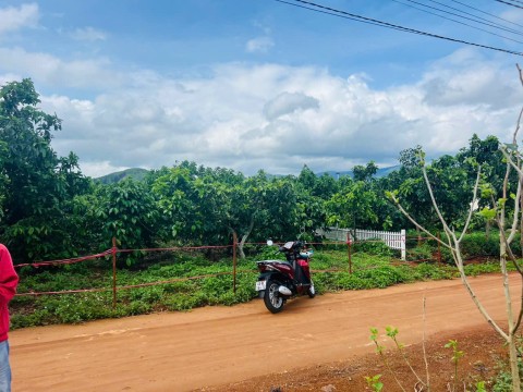 Mảnh đất ngộp giá rẻ ở Nam Ban, view...