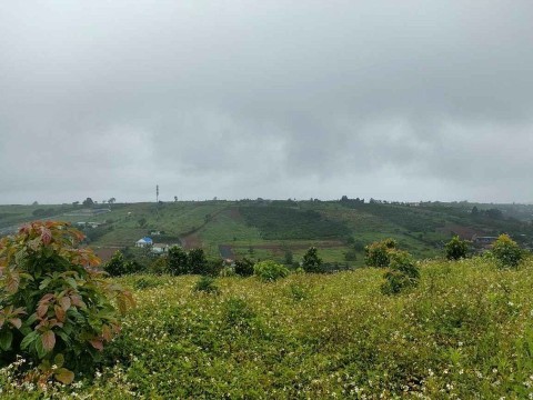 Bán lô đất diện tích 2sào3 Xã Lộc Tân,...