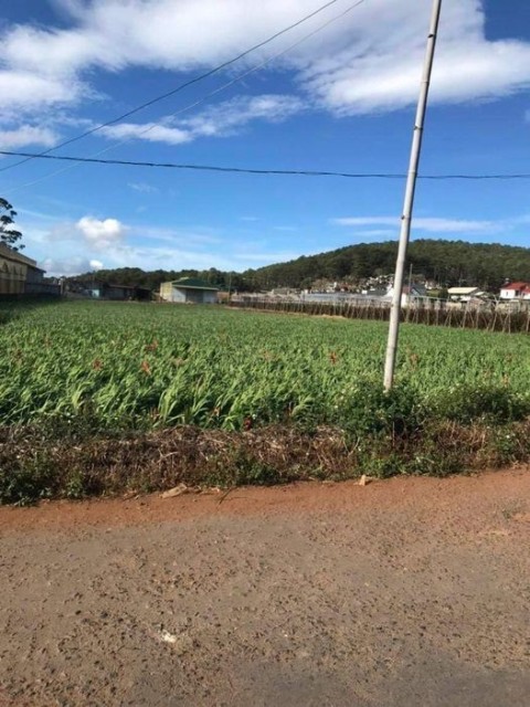 Đất đẹp cần bán tại Thôn Trung Hiệp ,Xã...