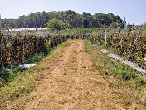 Đất bán tại Thôn 9 ,xã Đà Loan,Đức...