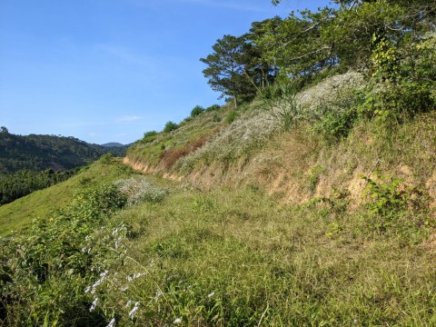 Bán đất rẻ thích hợp làm nông nghiệp Xã...