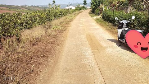 Cần việc gấp nên cho ra đi lô đất tại...