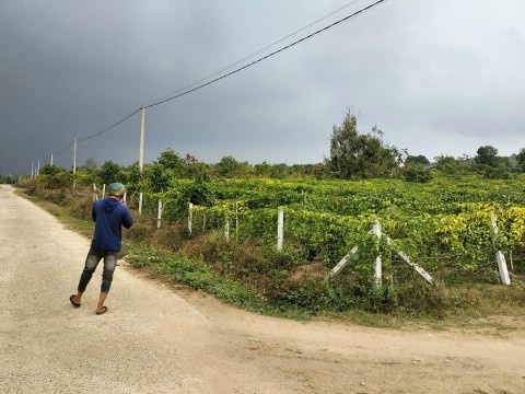 Cần bán đất 2 mặt tiền tại xã Hoà Bắc,...