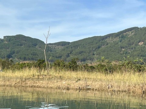 bán đất diện tích 4000m gần UBND Xã Bảo...