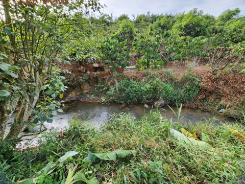 Bán 2 sào 4 đất tại xã Phú Sơn Lâm Hà...