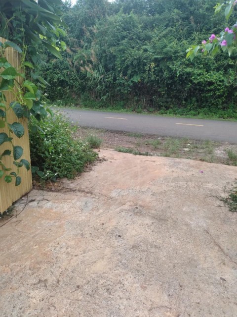 Gia đình cần bán đất nông nghiệp...