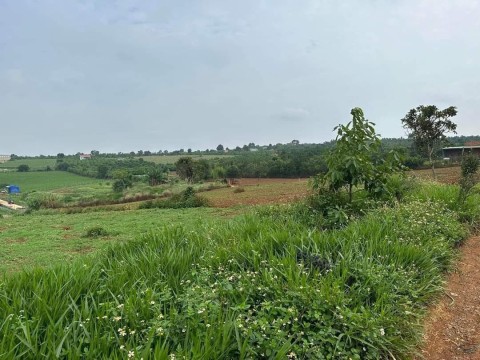 Cần bán gấp lô đất tổng diện tích 6 sào...