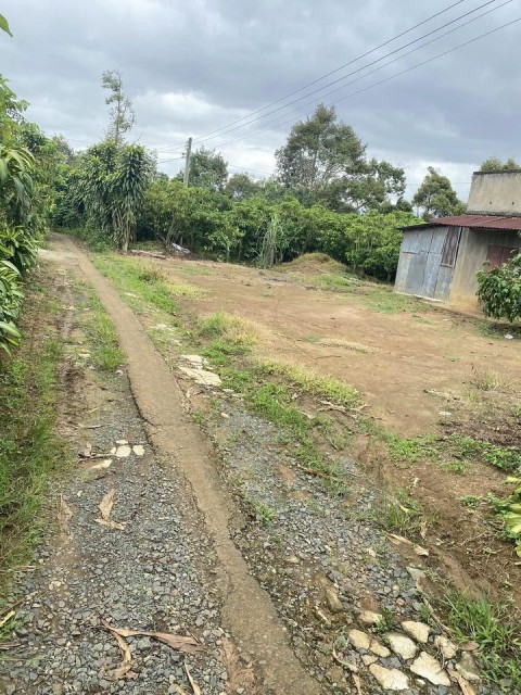 Cần bán Lô đất vườn tại xã Tân lạc Bảo...