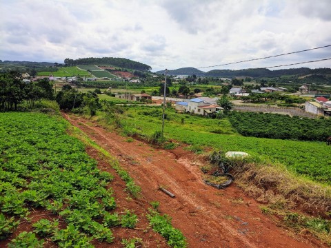 Bán đất Có Chiếc View chill chill : Xã...