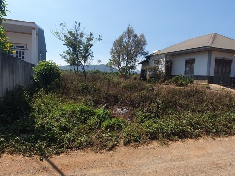 Bán gấp lô đất 10x53 (100 thổ cư) đường...