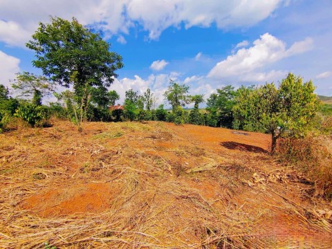 Kẹt tiền bán lô đất diện tích 18.000m2...