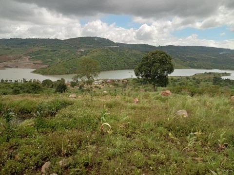 Bán đất đường minet xã đinh lạc Di Linh...