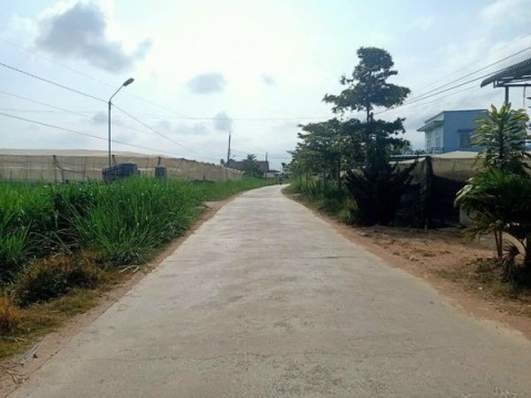 Cần bán lô đất toàn bộ nhà kính 8500m2...