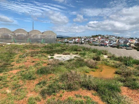 Cần bán nhanh lô đất 500m2 SRXD tại...