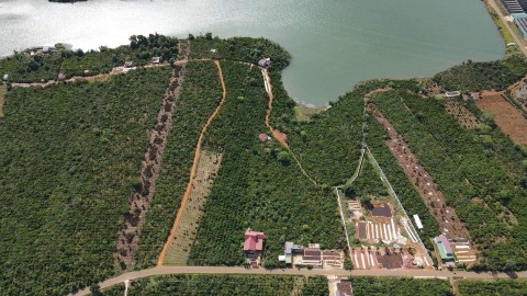 Cần bán 2hecta đất đỏ bazan toạ lạc tại...