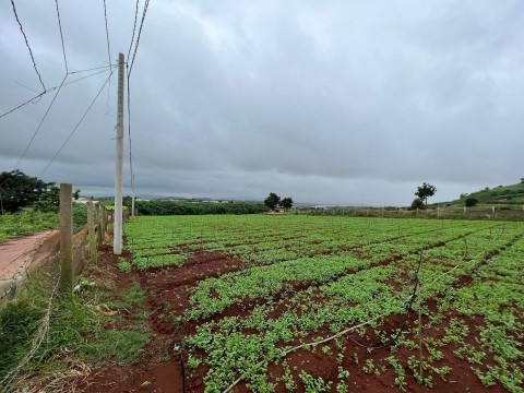 Bán đất tại Đạ Ròn, Đơn Dương, Lâm Đồng...