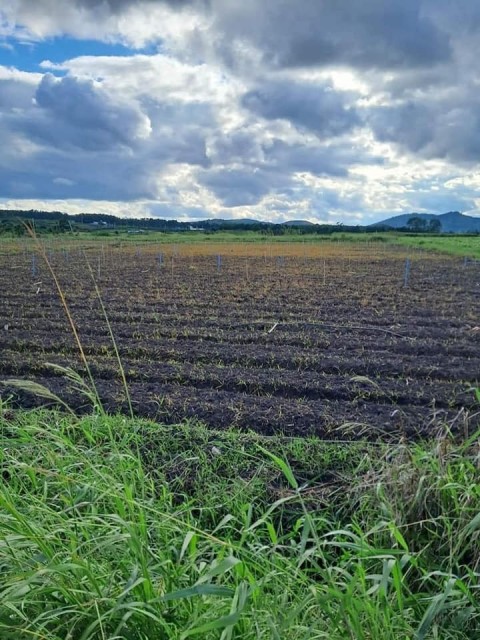 Bán lô đất diện tích 7534 m2 tại Xã Tu...