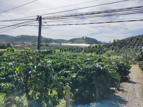 Chính chủ cần bán đất tại thôn 5 đạ đờn,...