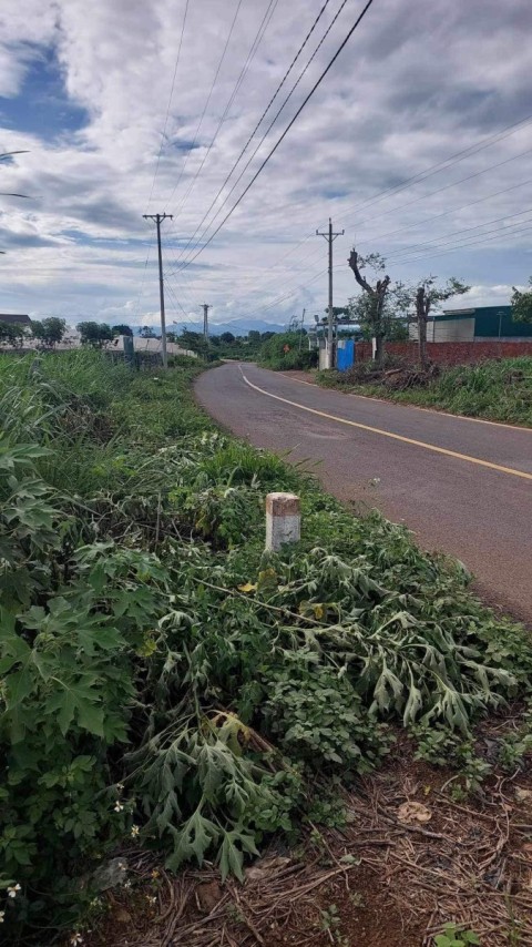 Chủ gửi bán lô đất đường nhựa...