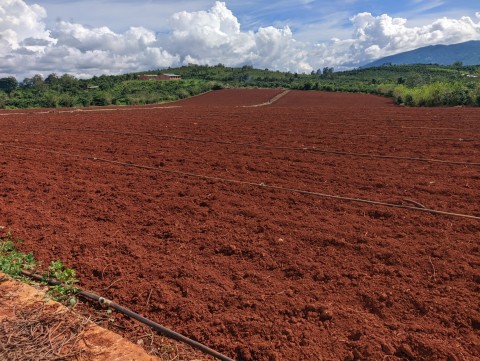 Đất ngộp giá rẻ diện tích 1,9ha ngay xã...