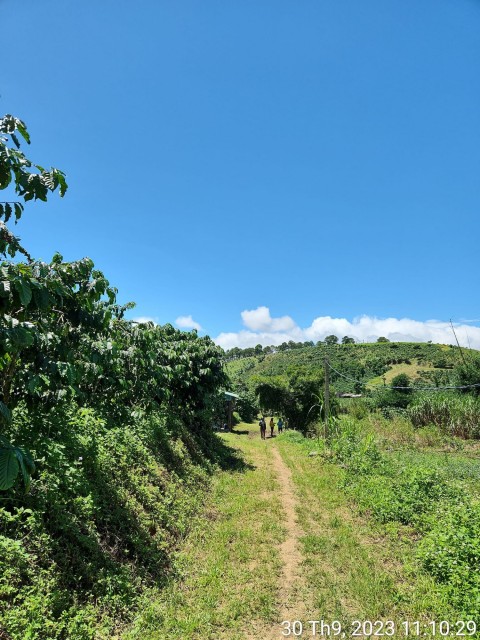 Cần bán 4 sào đất tại xã Phi Tô, huyện...